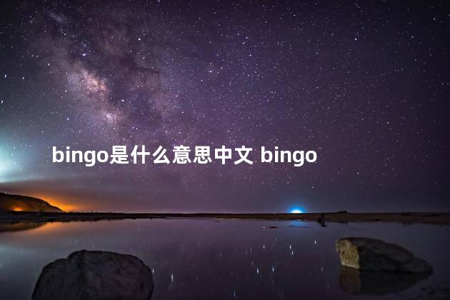 bingo是什么意思中文 bingo是什么软件